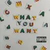 P Dot - What You Want - Single